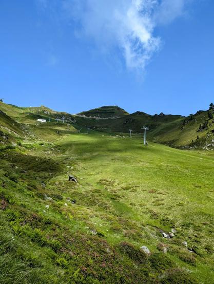 Steep grassy slope and a a peak at its top: the Gedrechter