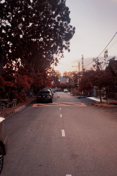 The image depicts a quiet residential street during what appears to be early evening, with a warm, soft light suggesting the sun is setting. The street is flanked by trees with reddish-brown leaves, indicating it might be autumn. On the left side, there are parked cars, including a dark-colored sedan, and a small dog is visible walking on the street. The road is marked with white lines, including a pedestrian crossing. In the background, there are houses and a few power lines, with a tall building visible in the distance. The sky is a gradient of colors, transitioning from light blue to soft orange near the horizon. The overall atmosphere is calm and serene, with no visible people or moving vehicles. Provided by @altbot, generated privately and locally using Ovis2-8B 🌱 Energy used: 0.195 Wh