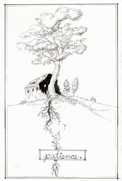 A pen and ink drawing showing the remains of a ruinous outbuilding, with a large tree growing from the exposed interior. The tree's roots are visible, reaching deep down into the hill. Among the roots, the word "patience" is handwritten in a rough rectangle.