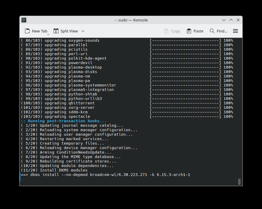 The image shows a terminal window with a dark background and white text, running on a Linux system. The title bar reads "sudo - Konsole," indicating that the user is running a command with elevated privileges. The terminal is displaying a list of package upgrades, with each line showing the package name and its progress percentage. The list includes packages such as "oxygen-sounds," "parallel," "pcutils," and "spectacle," among others. The progress percentages are all at 100%, indicating that the upgrades are complete. Additionally, the terminal is running post-transaction hooks, including updating the journal message catalog, reloading system manager configuration, and restarting marked services. At the bottom of the terminal, there is a command for installing the Broadcom wireless driver, "dkms install --no-depmod broadcom-wl/6.30.223.271 -k 6.15.3-arch1-1." The terminal interface includes options for "New Tab," "Split View," "Copy," "Paste," and "Find..." in the top menu bar.

Provided by @altbot, generated privately and locally using Ovis2-8B

🌱 Energy used: 0.236 Wh