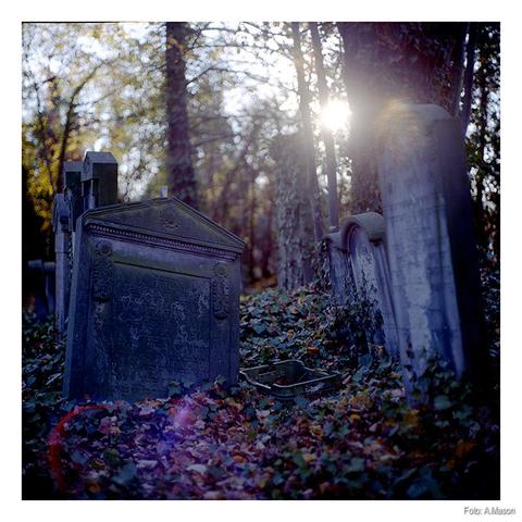 Macewy