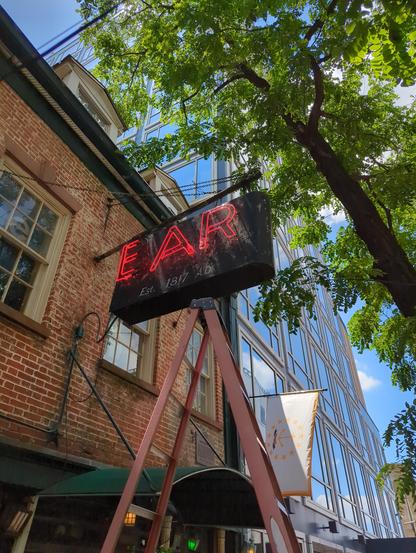 BAR neon painted to say "EAR" with ladder underneath and tree above all