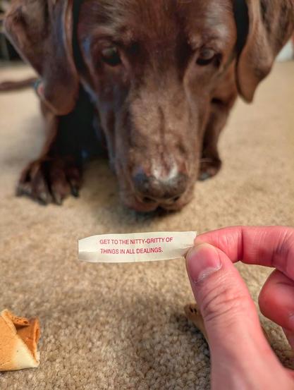 A human is holding a paper fortune.
