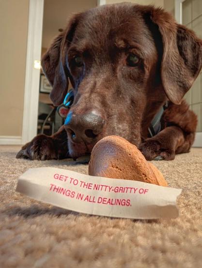 A paper fortune sits in front of half a fortune cookie.