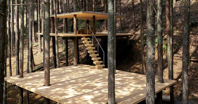 tree trunks pierce through sauna shelter by DAICHI in japan