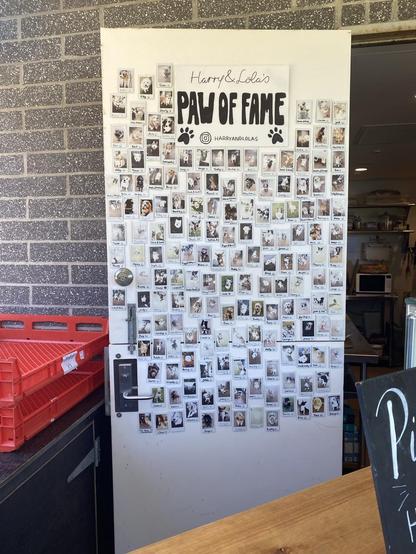 The cafe's "Paw of Fame" a picture wall on a white door with printed out pics of all their doggy visitors. Very cute.