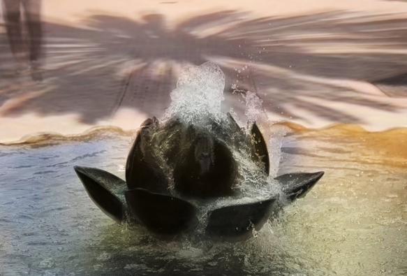 lotus flower water fountain with a palm tree in the background. there is a long exposure effect on the water and in the background.