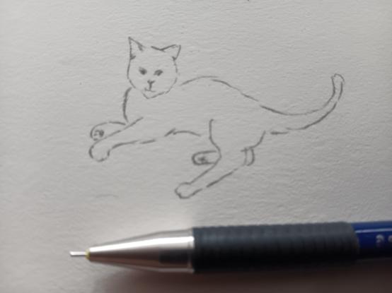 Zeichnung: Katze liegt auf der Seite und schaut aufmerksam