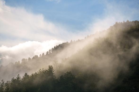 Brume dans le Tarn https://photos.lisiecki.fr/2025/dsc07080/ #photographie #photography  #photographie #photodujour #picoftheday #mountain #montagne #landscape #paysage #travelphotography #travel #voyage