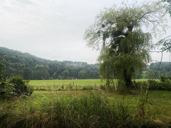 Verhangene Flusslandschaft am frühen Morgen