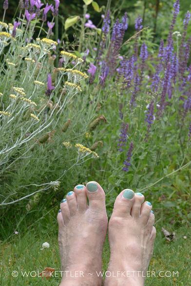 The photograph shows my feet with toenails painted in different shades of blue before a perennials border in my garden.