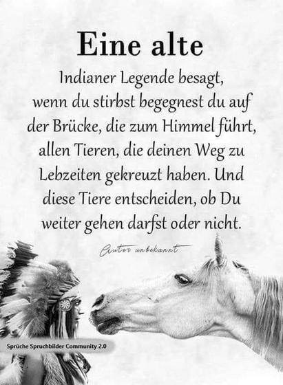 Ein Indianer mit Feder-Kopfschmuck und ein Schimmel sehen sich an.
Schwarzer Text wie im Post oben.