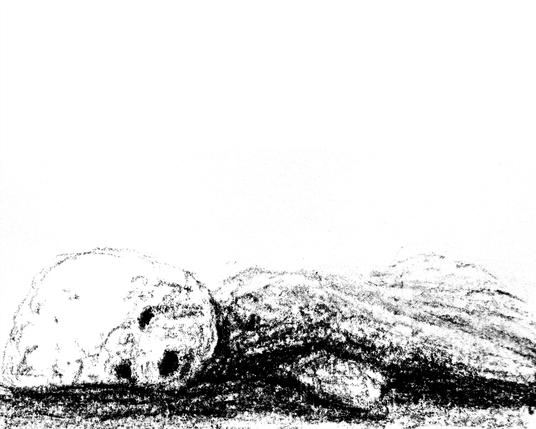 Charcoal sketch of George! (small fluffy dog) lying in his side.