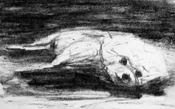 Charcoal sketch of George! (small fluffy dog) lying in his side.