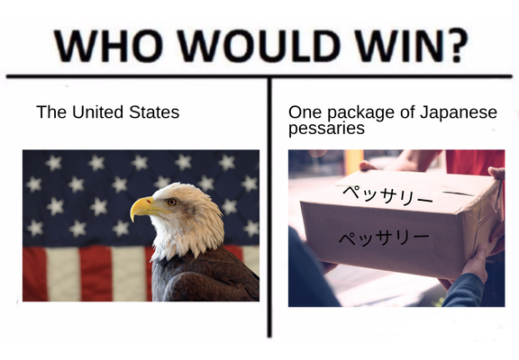 Who would win meme format. Title says "Who would win". On the left is "The United States" with a stock image of a bald eagle in front of the US flag. On the left is "one package of Japanese pessaries" with a stock image of a parcel being delivered with the Japanese word for "pessary" written on the parcel.