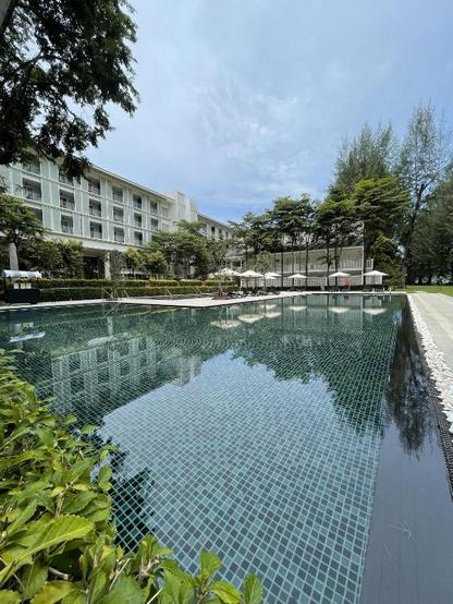 Lone Pine Penang