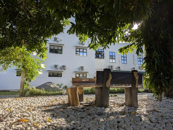 A tranquil, low-angle shot of a rustic wooden bench resting on a bed of smooth white pebbles. The scene is framed by the lush green leaves of overhanging trees, which cast dappled sunlight onto the ground. In the background, a large, modern white building with numerous windows and air conditioning units is visible. - Google Gemini 2.5 Pro