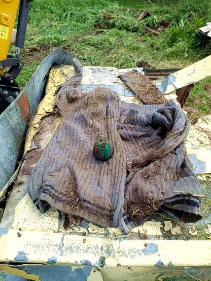 A knitted jacket, dirty and covered in bits of straw. On top, a squeaky dog toy, filthy but partially rubbed clean to reveal a green vegetable shape.