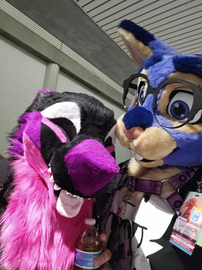 furry trash