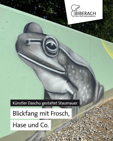 Künstler Daschu gestaltet Staumauer – Blickfang mit Frosch, Hase und Co.