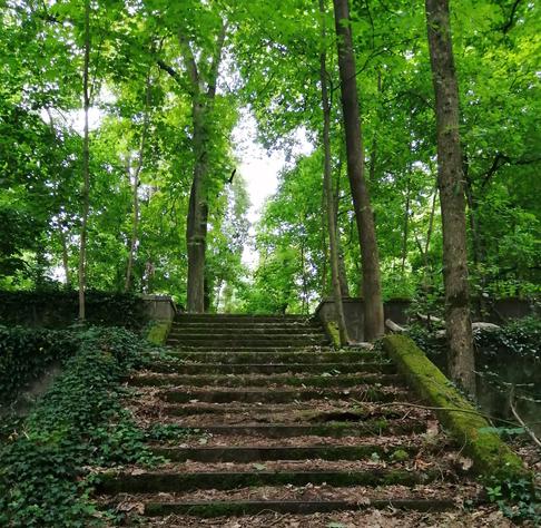 Reste einer steinernen breiten Treppe im Wald. Sie ist ziemlich breit, auf den Stufen liegen Blätter und Zweige. Die Mäuerchen sind an der einen Seite von Efeu überwachsen, aus der anderen mit Moos.
