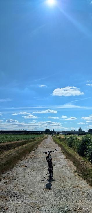 Chemin sous un ciel bleu, quelques nuages épars.