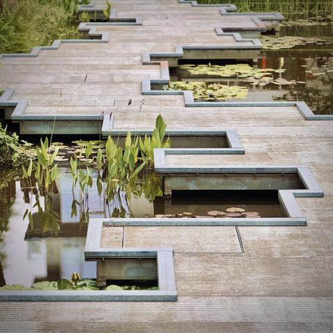 A rigid, wooden walkway weaves back and forth through lily pads on a small pond under an overcast sky.