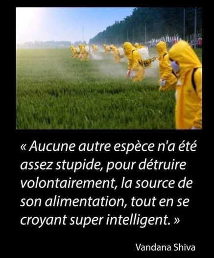 "Aucune autre espèce n'a été assez stupide pour détruire volontairement la source de son alimentation tout en se vroyant super intelligente." Vandana Shiva