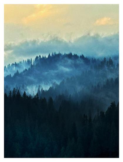 Mist rises from a forest of fir trees covering the slopes of hills, under a yellow-gold sky with a low bank of clouds.