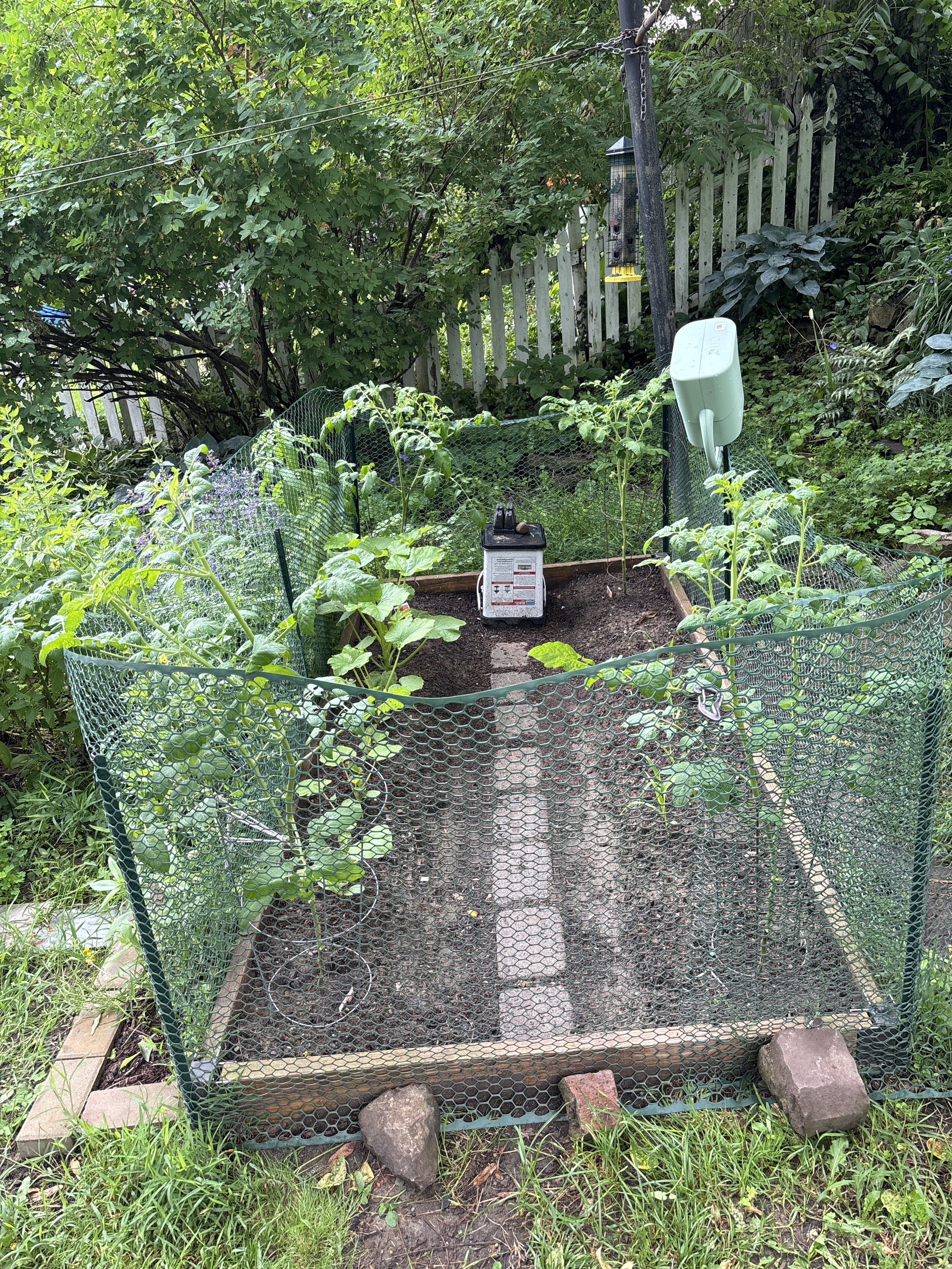 garden with fence