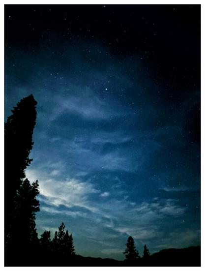 Fir trees in silhouette rise up into an evening sky with high, luminous, blue-toned clouds giving way to a black field of stars.