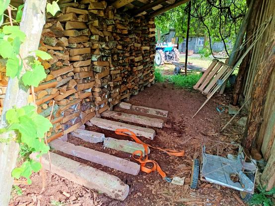 A firewood store lean-to behind a barn. It's nicely overgrown with grapes now, which are trained onto some poles. On the left is split firewood stacked to the ceiling on top of concrete beams. New concrete beams have been moved into place, an orange cargo strap still resting on them. On the right between firewood and barn wall is enough space to push a wheelbarrow through. An old sled made from two wooden skis with a crate on top leans against the wall. On the far exit a blue tractor with trailer stands.
