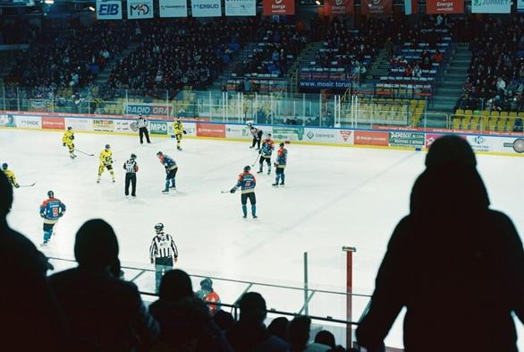 Utah Grizzlies start searching for a new den.