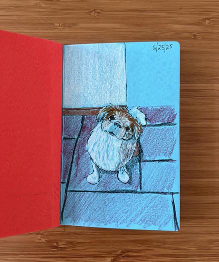 Sketch of a dog sitting on the floor.