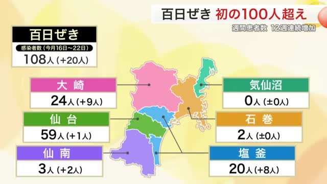 宮城県内の百日咳患者 初の１００人超え １２週連続で増加 感染対策の徹底呼びかけ（仙台放送） - Yahoo!ニュース - Yahoo!ニュース