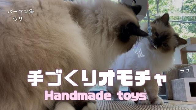 バーマン猫ラフとウリ【手づくりオモチャ】Handmade toys（バーマン猫）Birman/Cat