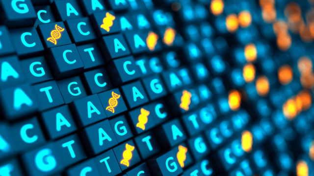 Image of gene codes