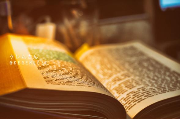 close up photography of the Holy Bible in a cozy room environment with warm lights