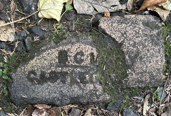 Surrounded by dead leaves, an old sandy-coloured but mud-covered and broken clay brick is lying deeply embedded in the ground. The brick bears the stamp of the manufacturer although it is partially obscured by dirt - BCL CASTLECARY