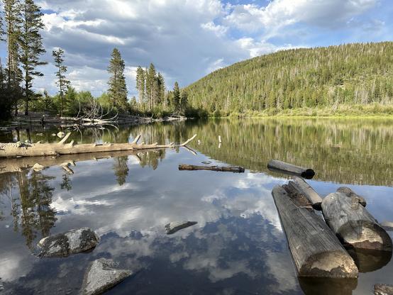 A tranquil lake scene featuring calm water reflecting trees and clouds, with logs and rocks in the foreground and a wooded hillside in the background.