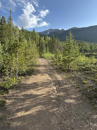 A dirt path winds through a lush green forest, surrounded by tall trees. In the background, mountains with patches of snow are visible against a blue sky with scattered clouds.