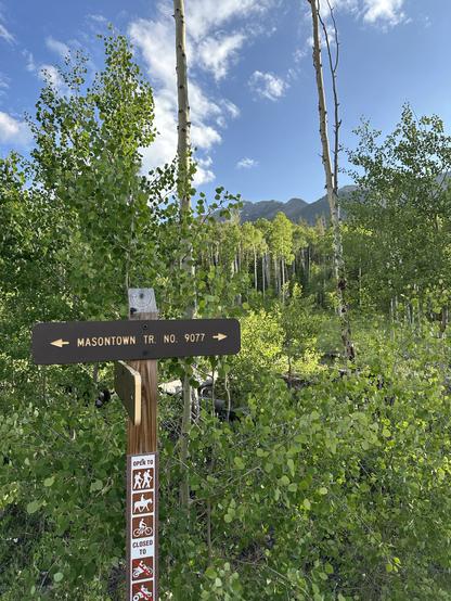 A trail sign pointing towards "Mason Town Tr. No. 9077" among lush greenery and aspens, with some mountains visible in the background under a blue sky with clouds. The sign indicates trail access for hikers and cyclists while noting restrictions