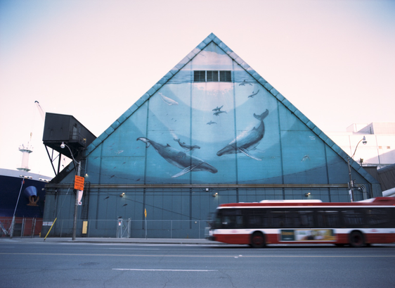 The street end of the Redpath Sugar shipping depot, the high peaked triangle of the wall painted blue with an undersea mural of whales. The blur of a TTC bus has entered the frame.