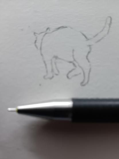 Zeichnung: Katze läuft nach hinten weg