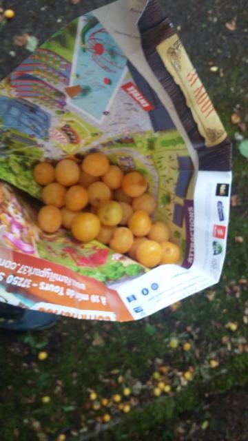 prunes jaunes dans un papier journal