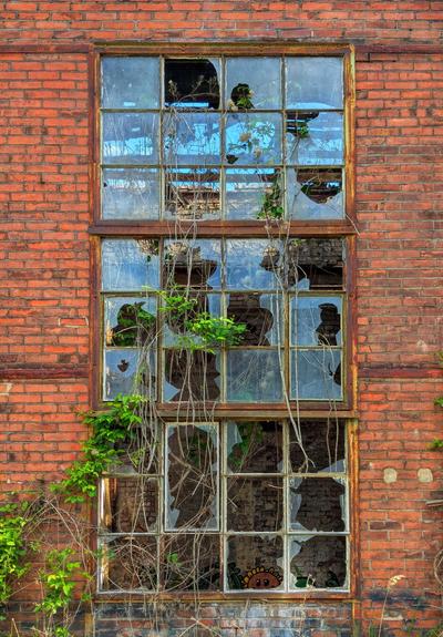 A detailed shot of a large, weathered industrial window set in a brick wall. The window frame, likely metal, is rusted brown. Many of the numerous glass panes are broken or missing, revealing glimpses of the interior and the sky. Green vines and dried tendrils creep up and around the window frame, some trailing through the broken panes. The red brick wall around the window shows signs of age and discolouration. In the bottom right pane, a small graffiti of a smiling sunflower with yellow petals and two large eyes is visible.