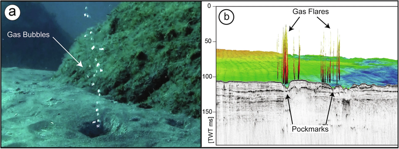 (a) Gas bubbles from a ROV image collected across the Pianosa Ridge; (b) Sub-bottom seismic profile collected in the Adriatic Sea with superimposed gas flares detected with multibeam EM2040 in 2018 (modified from Rovere et al.,).
