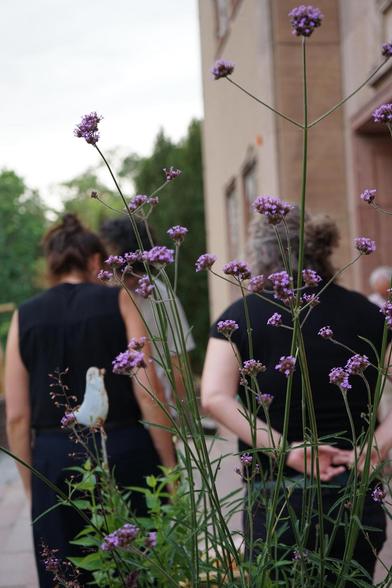 Das Bild zeigt lila Blüten und dahinter verschwommen zwei schwarz gekleidete erwachsene Personen von hinten.