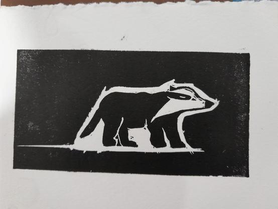 Un petit blaireau dans le noir