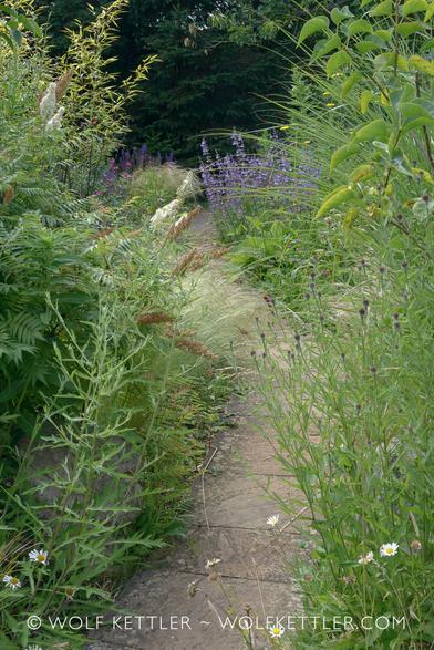 A paved path snakes into the distance. On either side, plants - perennials, wildflowers and shrubs - are growing over the edges. In the distance, a large spruce tree creates a dark backdrop.